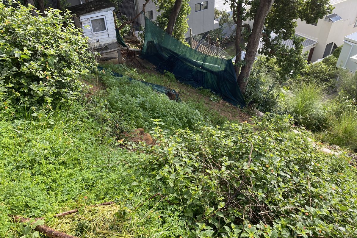 Vacant plot with breathtaking views - Photo 4