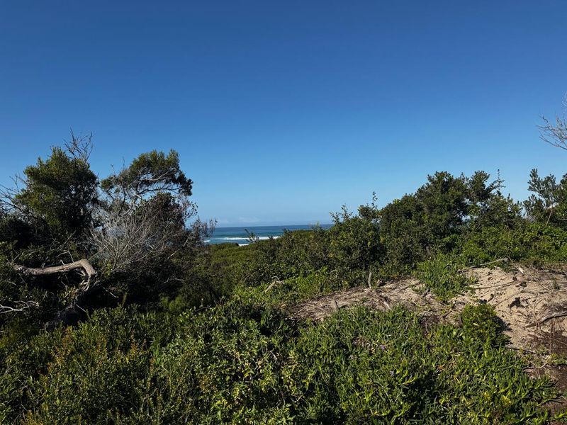 Immaculate Stand Just 4 Minutes from the Ocean in Paradise Beach, Jeffreys Bay - Photo 4