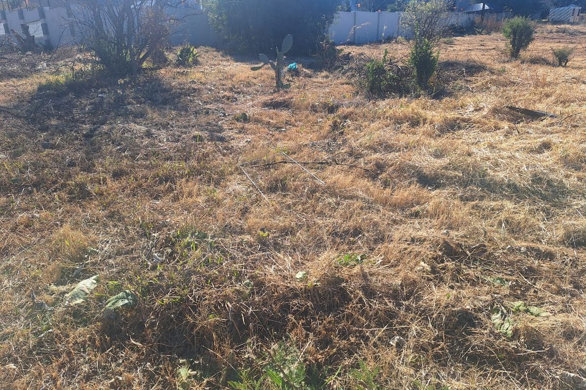 Come and Build your Home Here - Photo 3