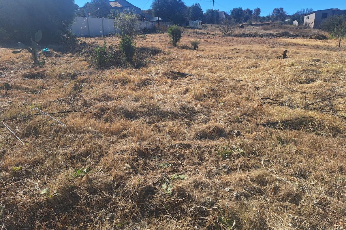 Come and Build your Home Here - Photo 5