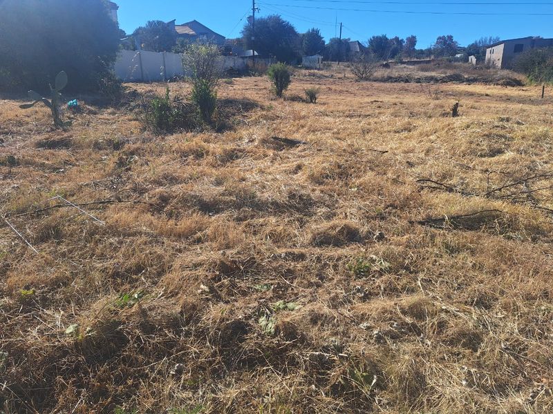 Come and Build your Home Here - Photo 5