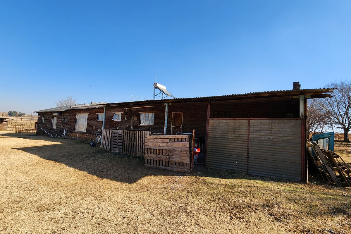 Spacious 2ha Plot in Kaydale – Ideal for Small-Scale Farming with rental flat! - Photo 2