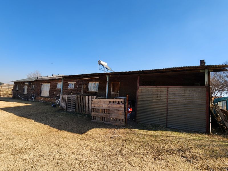 Spacious 2ha Plot in Kaydale – Ideal for Small-Scale Farming with rental flat! - Photo 2