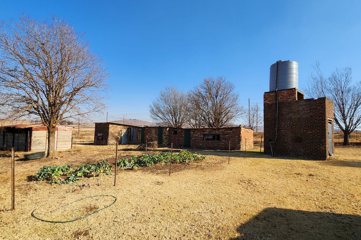 Spacious 2ha Plot in Kaydale – Ideal for Small-Scale Farming with rental flat! - Photo 3