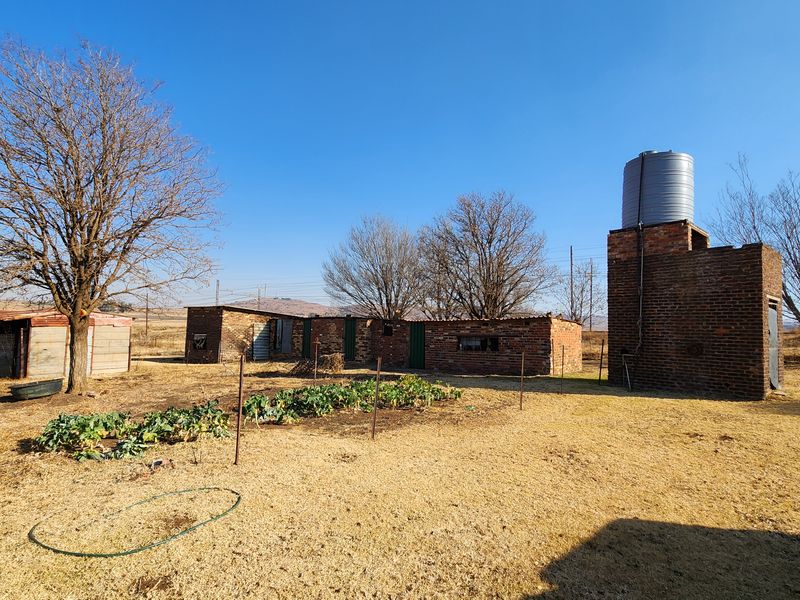 Spacious 2ha Plot in Kaydale – Ideal for Small-Scale Farming with rental flat! - Photo 3