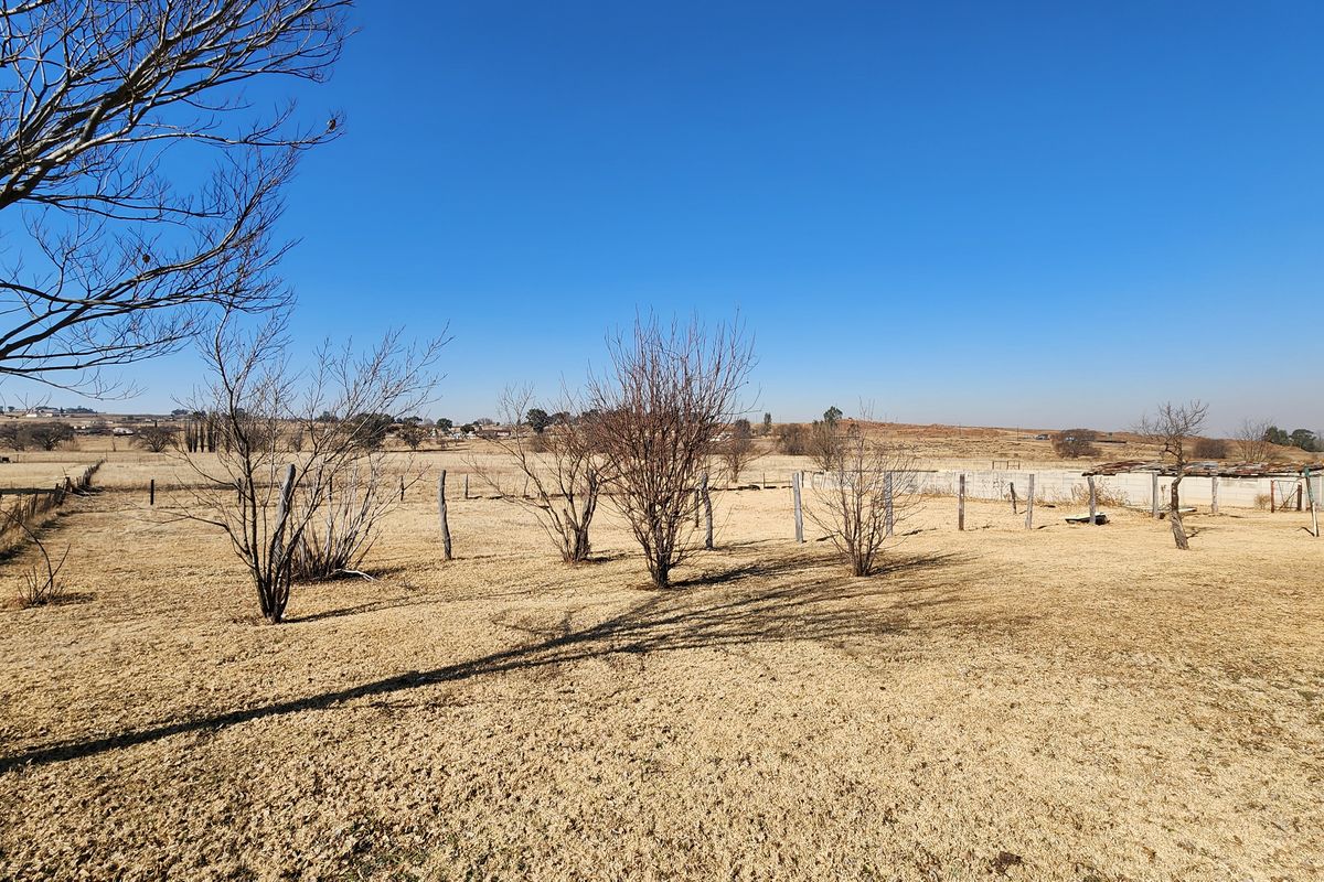 Spacious 2ha Plot in Kaydale – Ideal for Small-Scale Farming with rental flat! - Photo 4