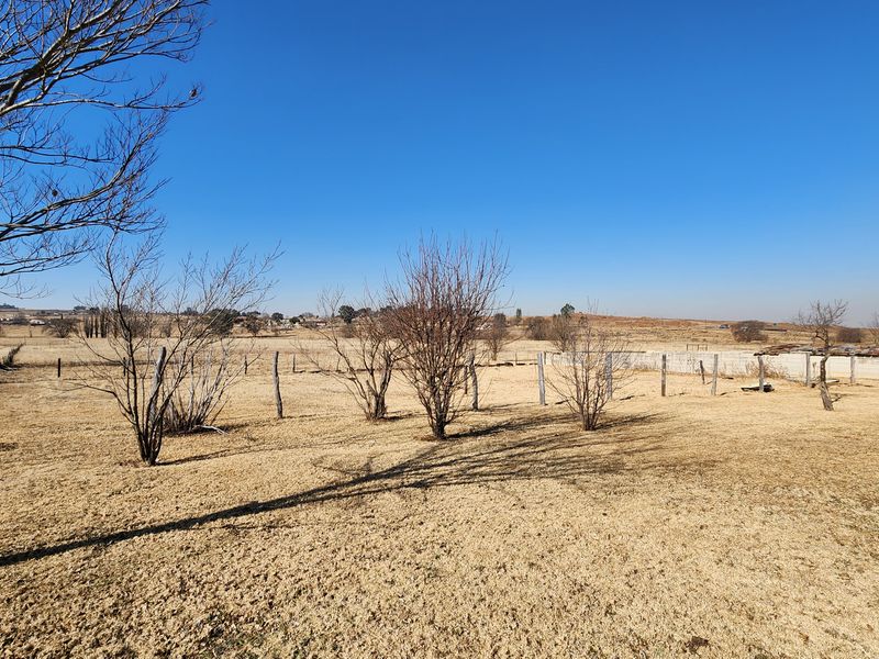 Spacious 2ha Plot in Kaydale – Ideal for Small-Scale Farming with rental flat! - Photo 4