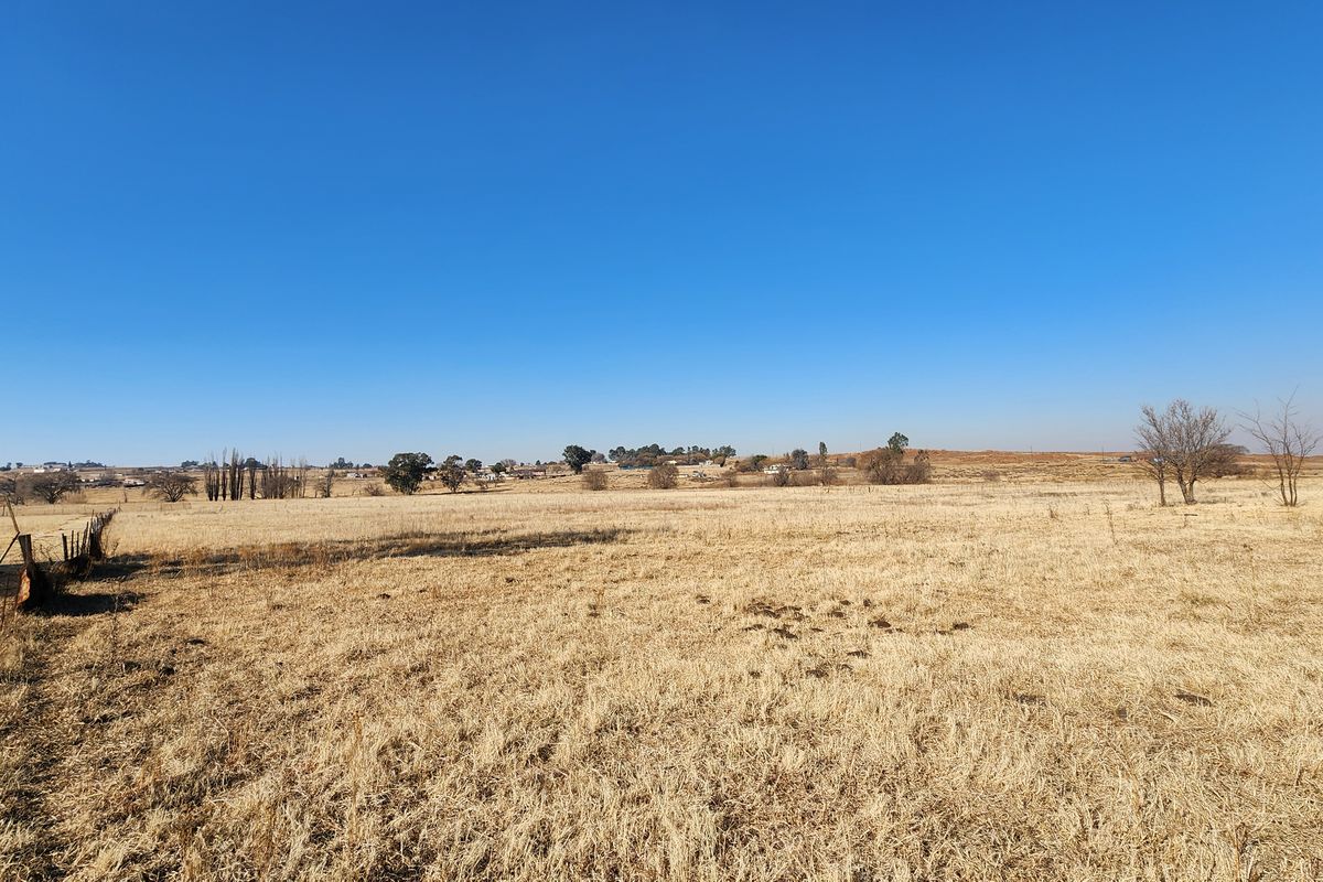 Spacious 2ha Plot in Kaydale – Ideal for Small-Scale Farming with rental flat! - Photo 5