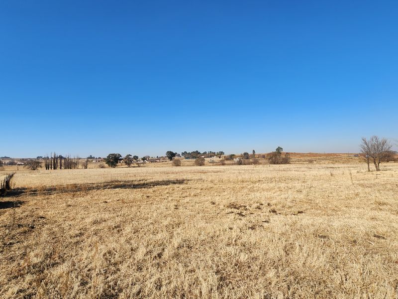 Spacious 2ha Plot in Kaydale – Ideal for Small-Scale Farming with rental flat! - Photo 5