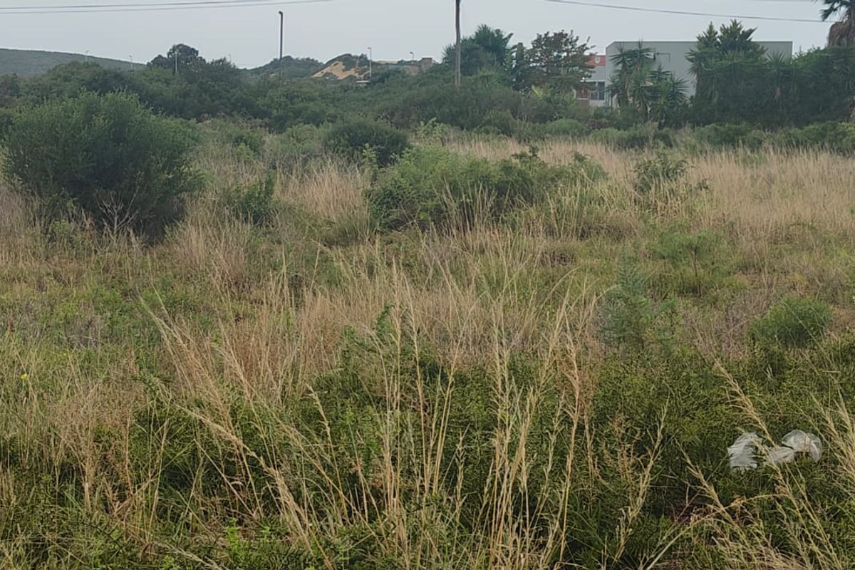 Vacant land for sale in Colchester - Photo 4