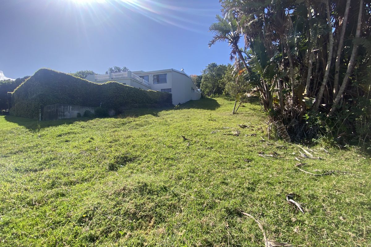 A view of the sloped, grassed rear section of the residential property featuring mature trees and established hedging.