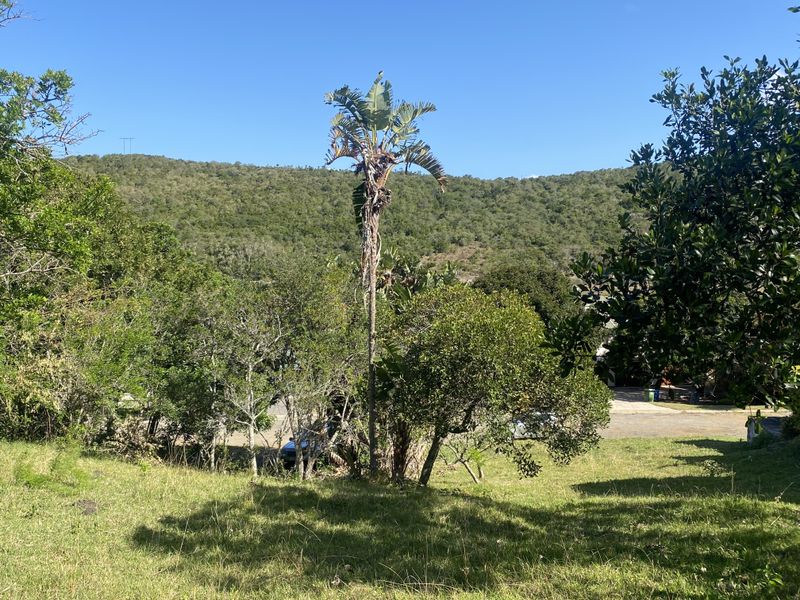 Plot close to the Cintsa Lagoon - Photo 9