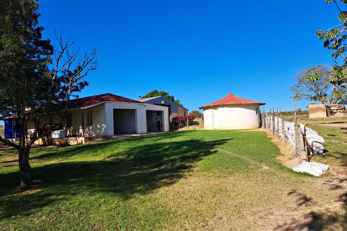 Vegetable Farming - Photo 4