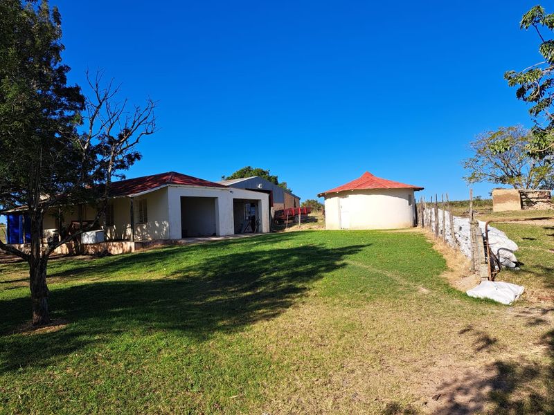 Vegetable Farming - Photo 4