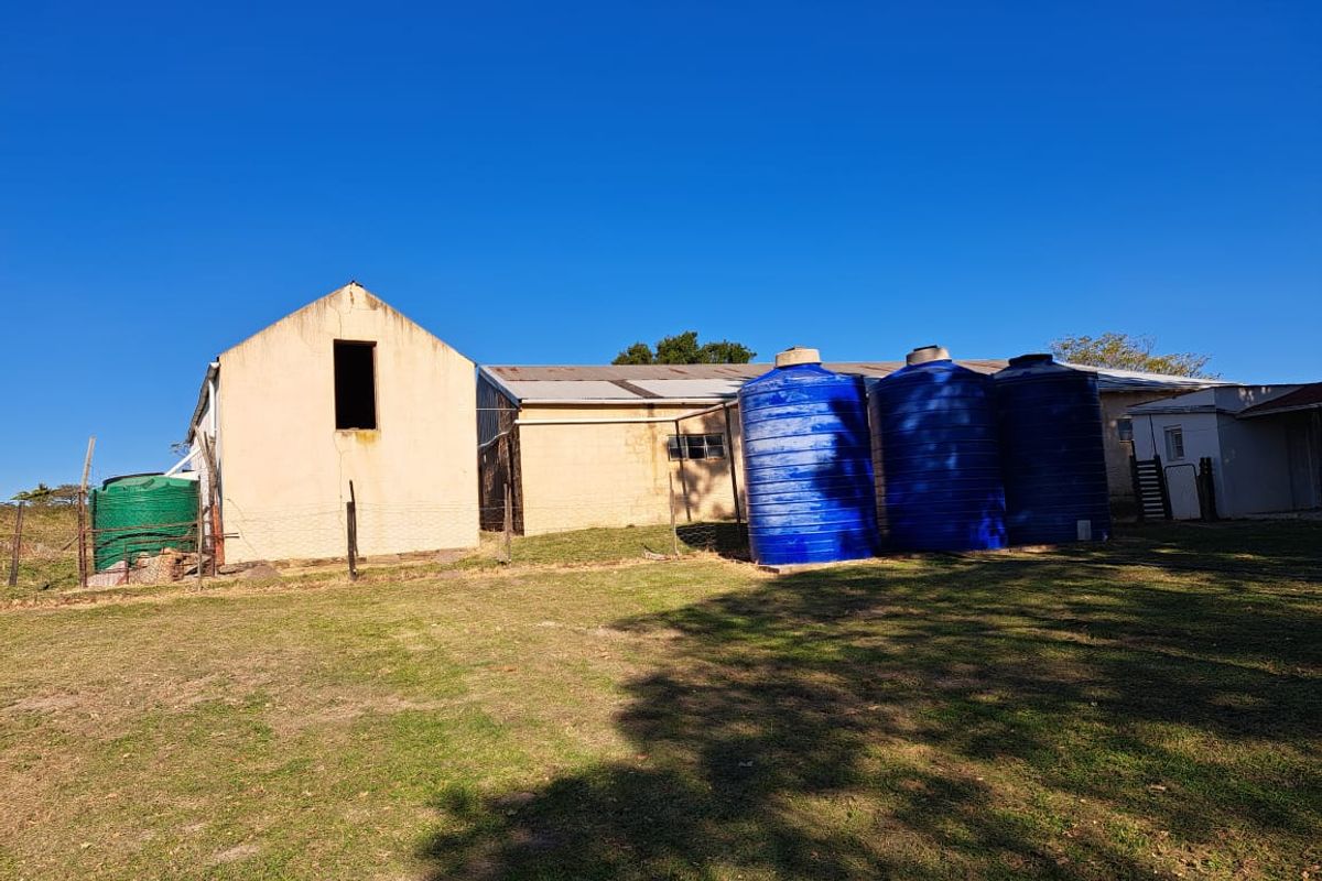 Vegetable Farming - Photo 5