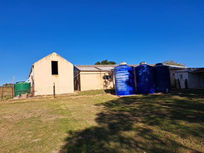 Vegetable Farming - Photo 5