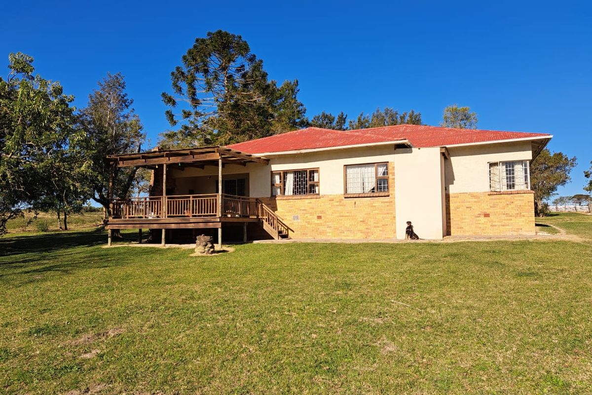 Vegetable Farming - Photo 2