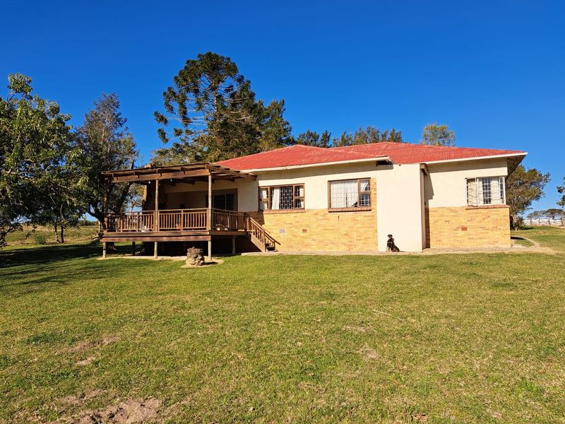 Vegetable Farming - Photo 2