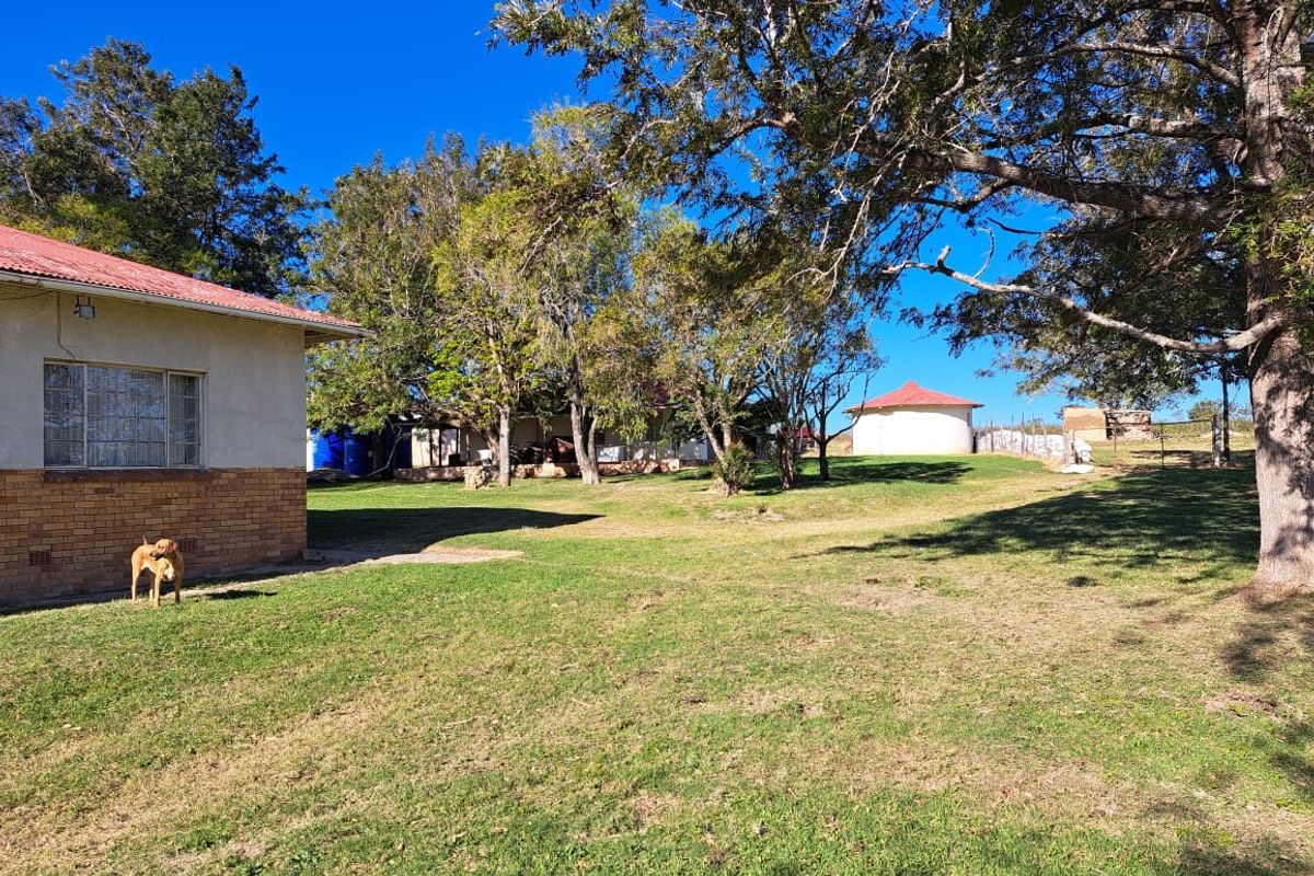 Vegetable Farming - Photo 3