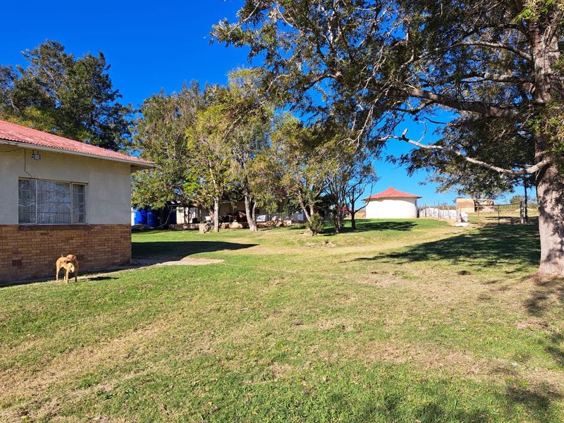 Vegetable Farming - Photo 3