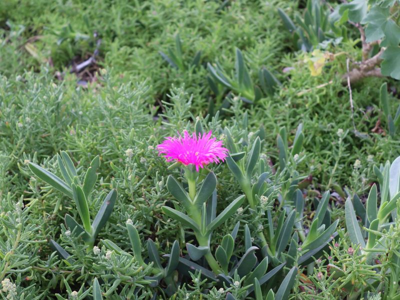 Vacant Land for Sale in Jacobsbaai - Photo 10