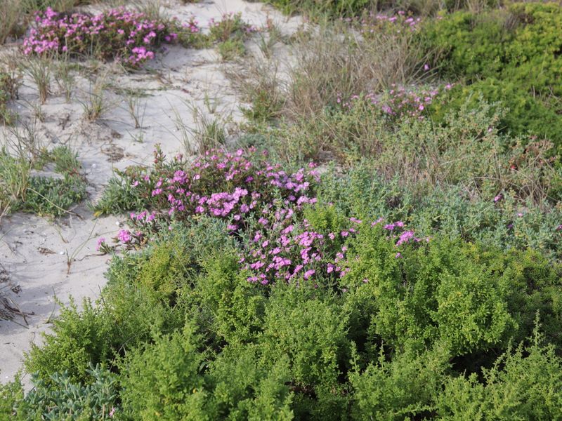 Vacant Land for Sale in Jacobsbaai - Photo 9