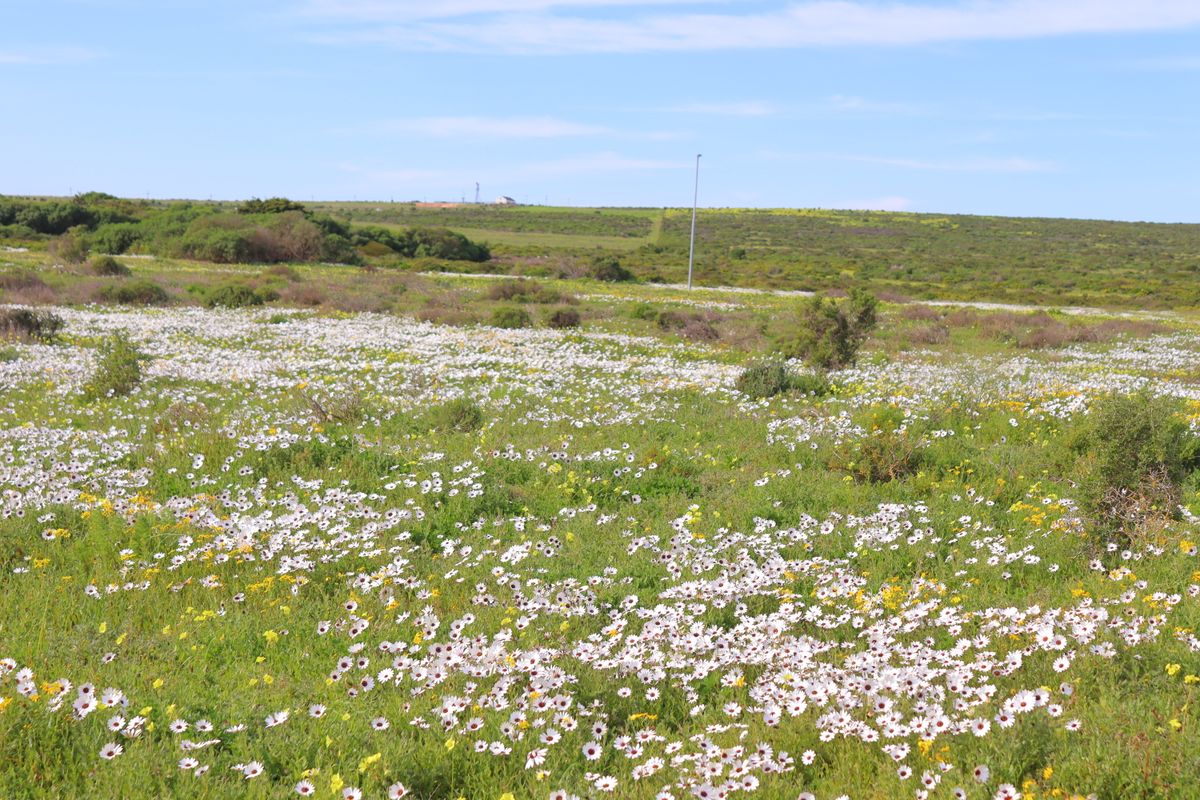 Vacant Land for Sale in Jacobsbaai - Photo 2