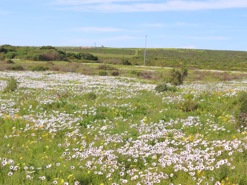 Vacant Land for Sale in Jacobsbaai - Photo 2