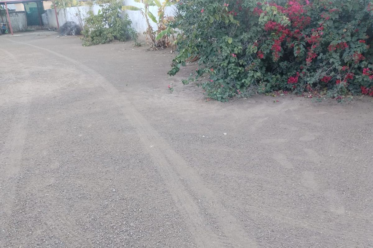 PRIME LOCATION!!!! - Photo 4