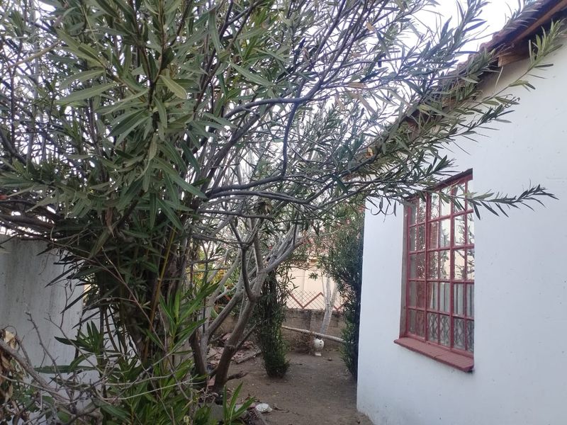 PRIME LOCATION!!!! - Photo 10