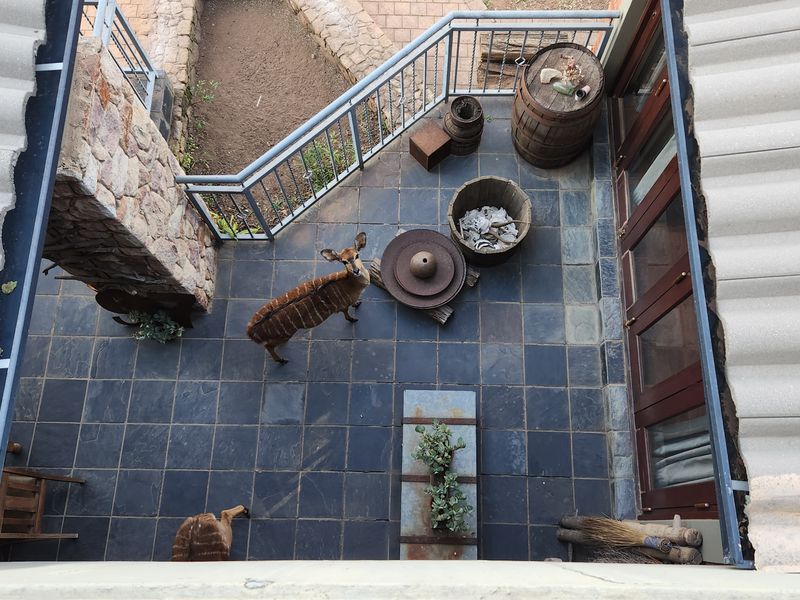 Luxury living, where the wild still roams @ approximately 320.000 Euro - Photo 6