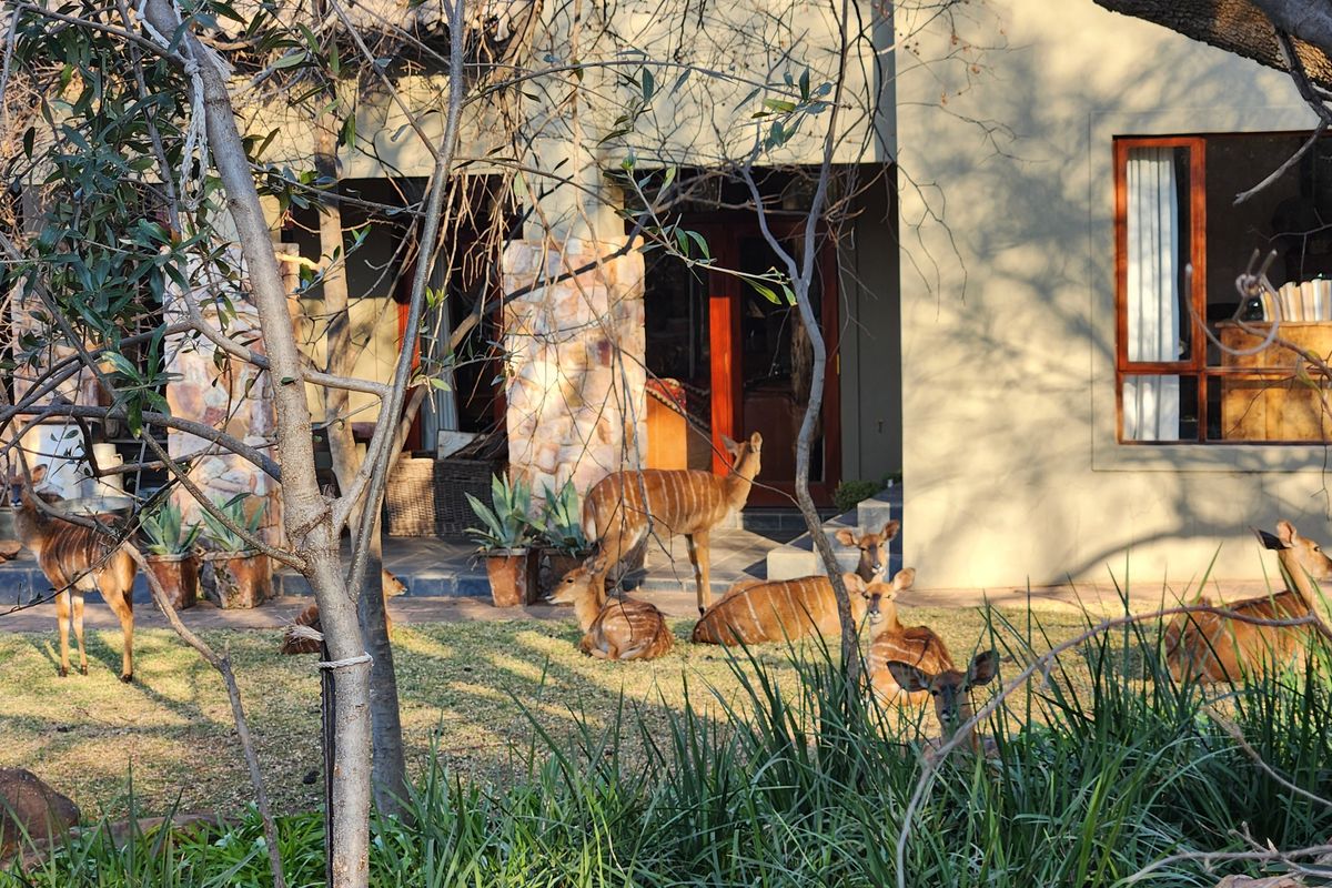 Luxury living, where the wild still roams @ approximately 320.000 Euro - Photo 5