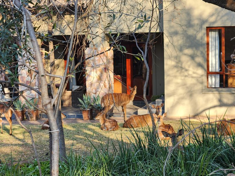 Luxury living, where the wild still roams @ approximately 320.000 Euro - Photo 5