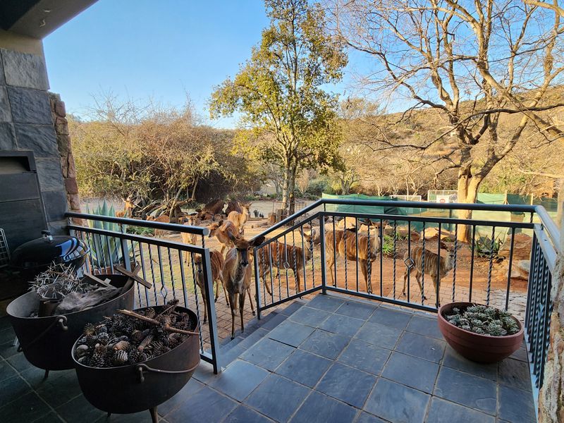 Luxury living, where the wild still roams @ approximately 320.000 Euro - Photo 7