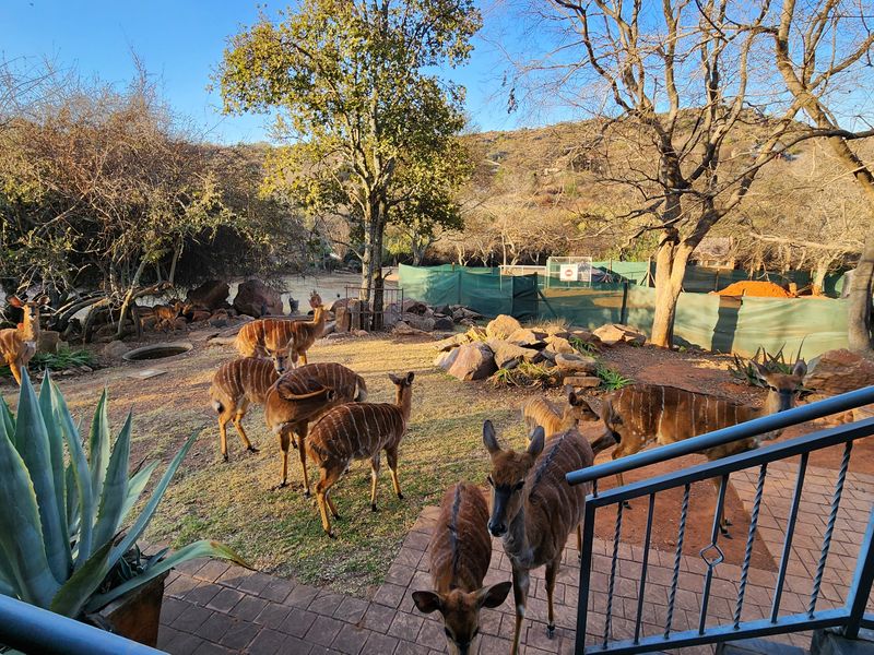 Luxury living, where the wild still roams @ approximately 320.000 Euro - Photo 8