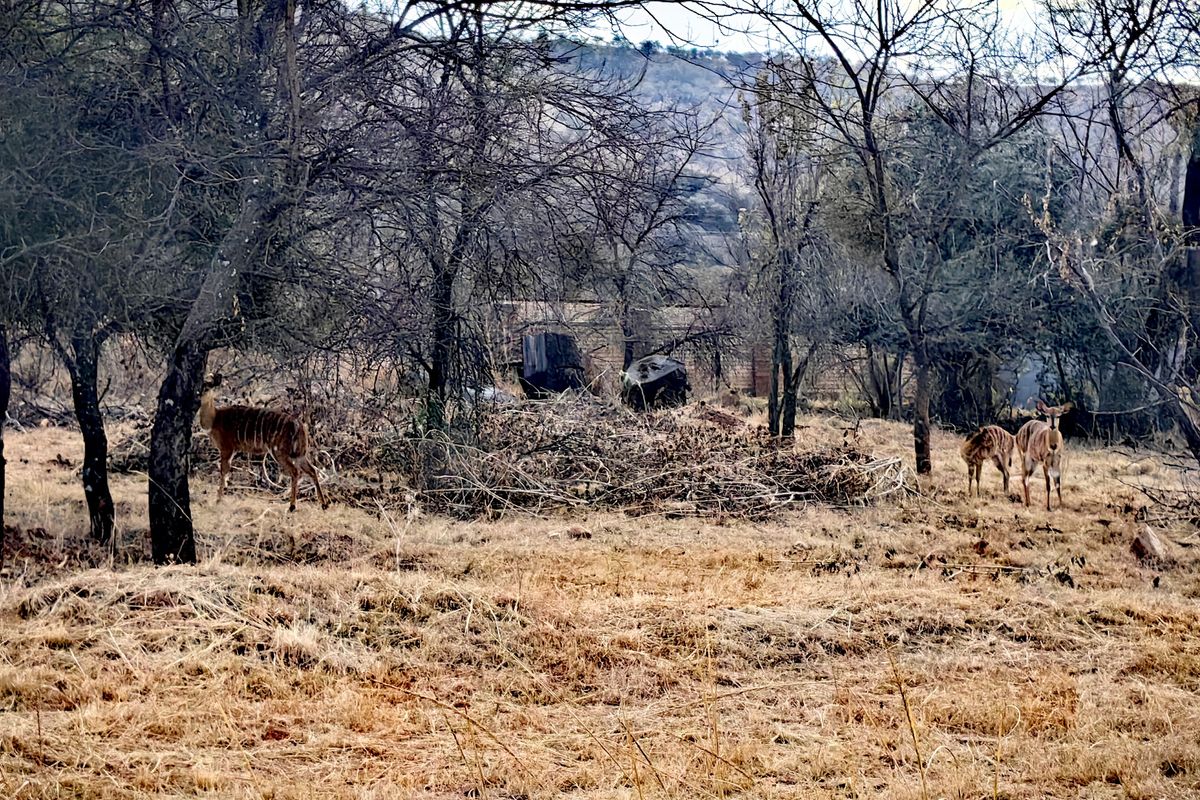 Build Your Dream Home in Tranquil Eco-Estate! - Photo 4