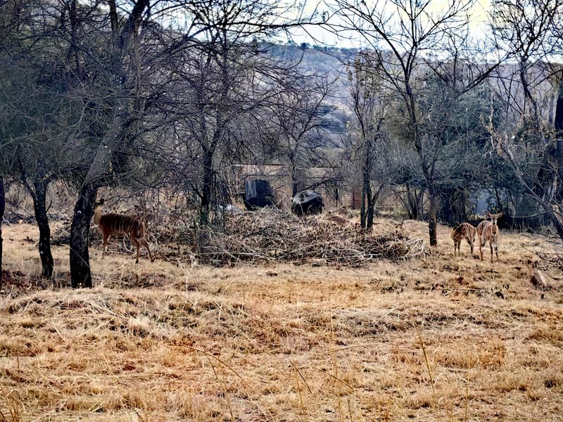 Build Your Dream Home in Tranquil Eco-Estate! - Photo 4