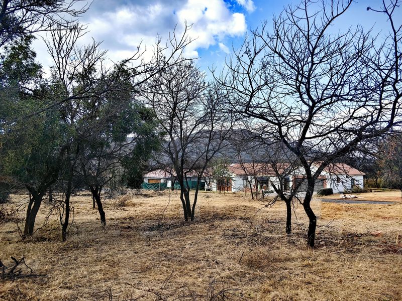 Build Your Dream Home in Tranquil Eco-Estate! - Photo 9