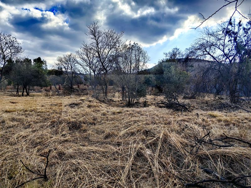 Build Your Dream Home in Tranquil Eco-Estate! - Photo 6