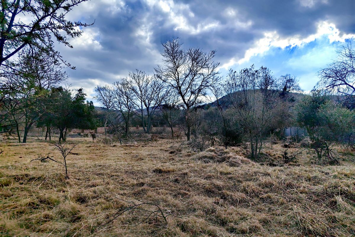 Build Your Dream Home in Tranquil Eco-Estate! - Photo 2