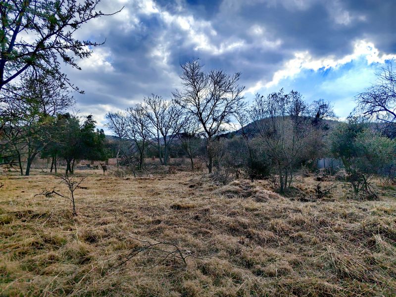 Build Your Dream Home in Tranquil Eco-Estate! - Photo 2