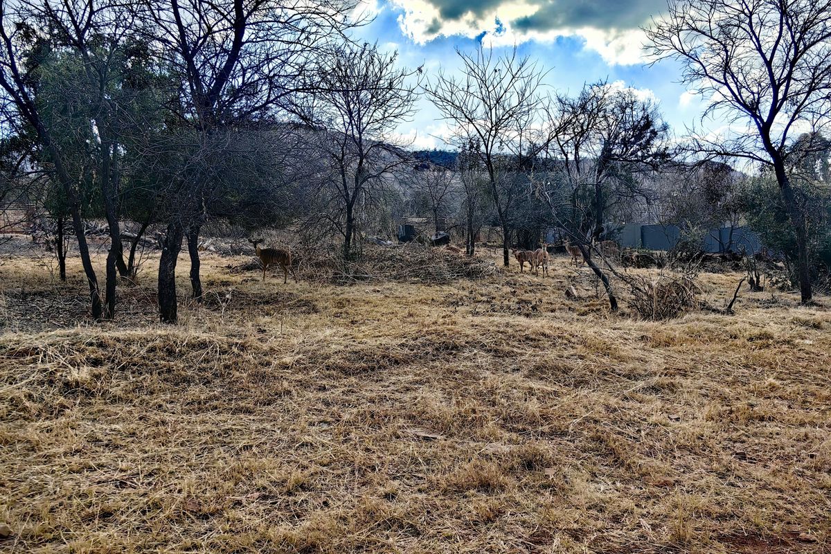 Build Your Dream Home in Tranquil Eco-Estate! - Photo 5