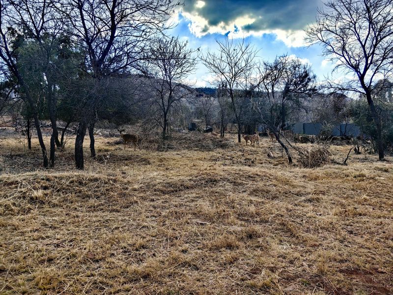 Build Your Dream Home in Tranquil Eco-Estate! - Photo 5