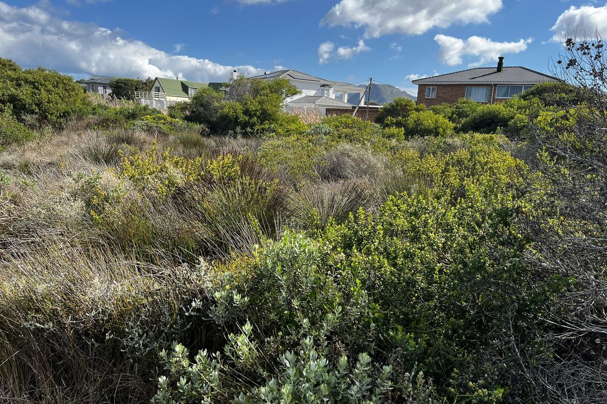 Vacant Land Residential For Sale In Bettys Bay - Photo 3