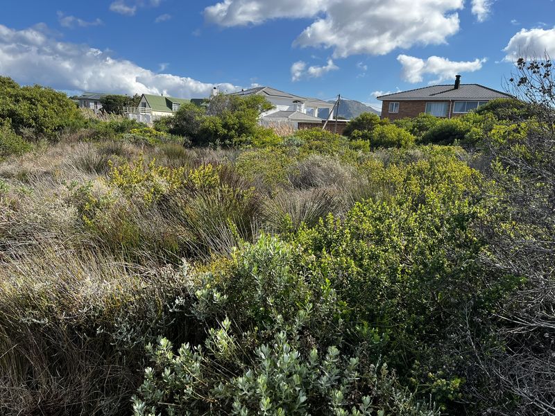 Vacant Land Residential For Sale In Bettys Bay - Photo 3