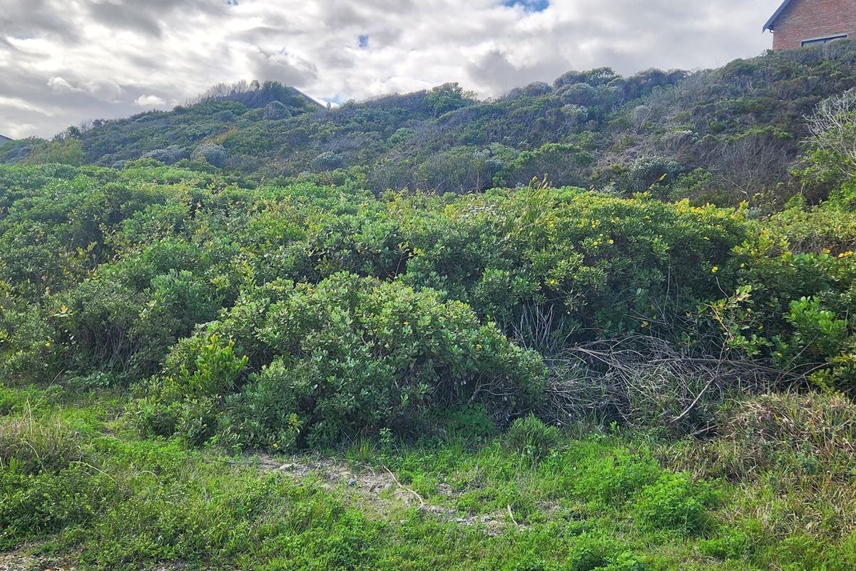 Seaside Getaway Location - Photo 3