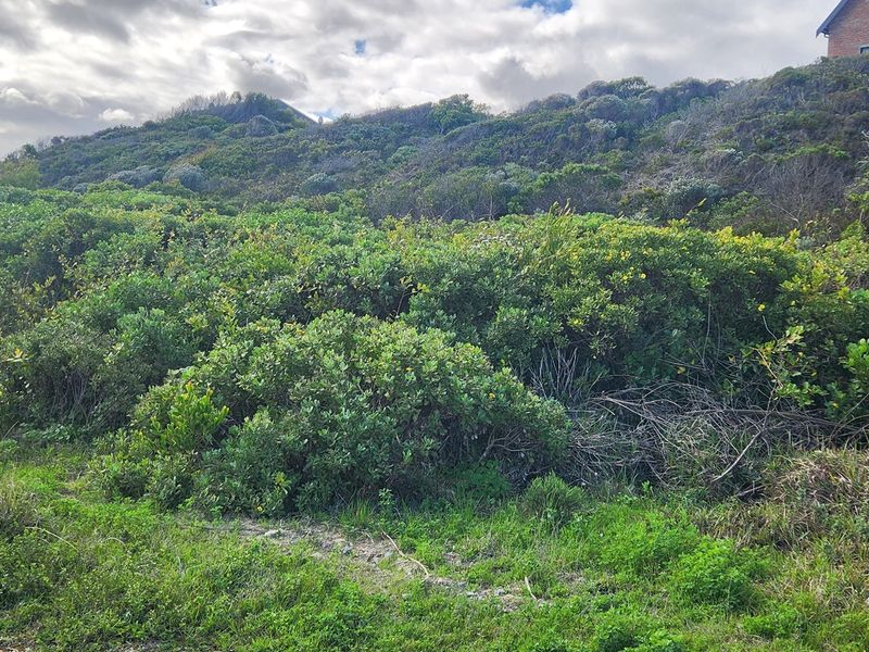 Seaside Getaway Location - Photo 3