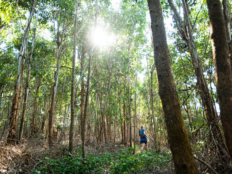 One on Seaton - Modern Coastal Living: 4 Bedroom from R7 495 000 - Photo 7