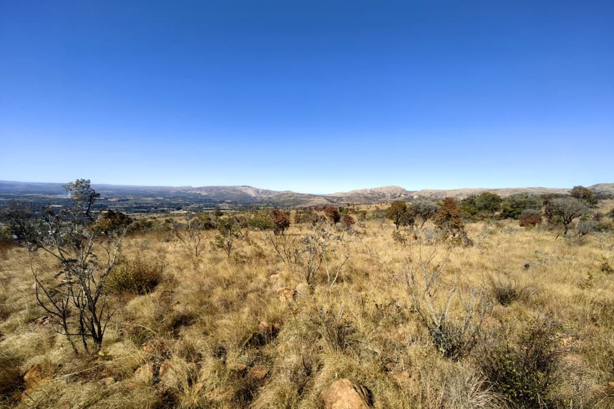 A wide-angle view of the vacant residential land featuring natural dry grass, scattered indigenous shrubs, and distant mountain range vistas.
