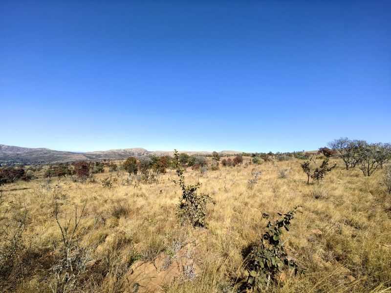 A wide-angle view of the vacant residential land featuring natural dry grass, indigenous trees, and distant mountain ranges under a clear blue sky.
